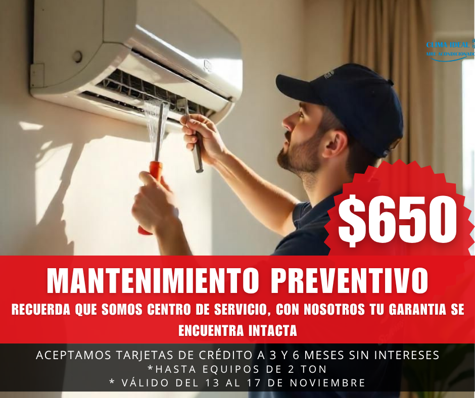 BUEN FIN 1.png